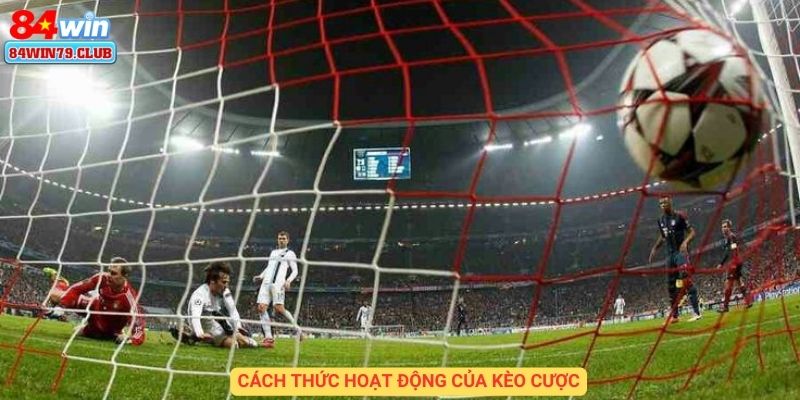 Cách thức hoạt động của cược đội vô địch