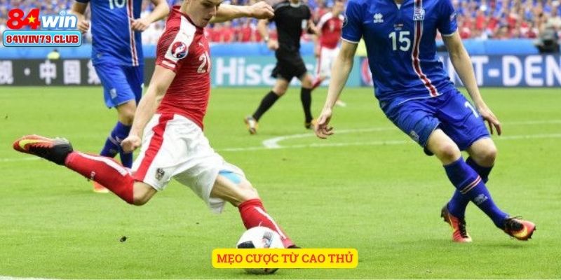 Các mẹo cược từ cao thủ