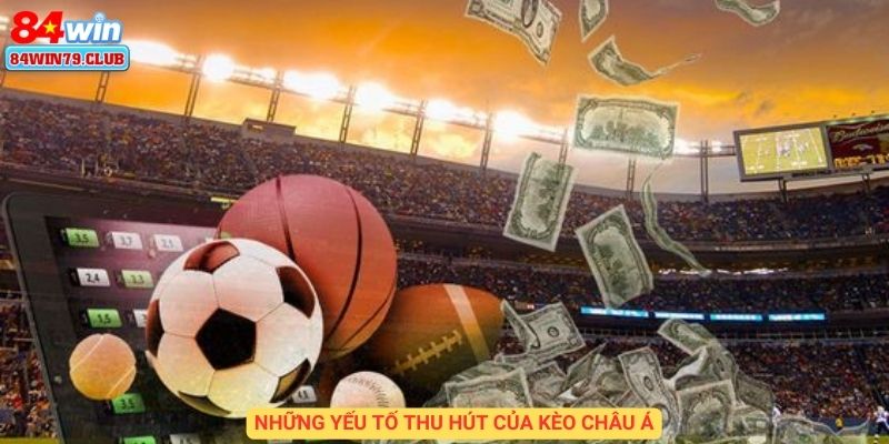 Những yếu tố thu hút