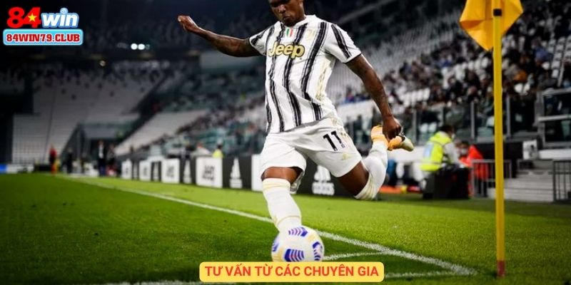 Tư vấn từ các chuyên gia 