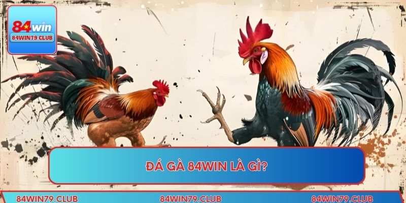 Đá gà 84win là gì?
