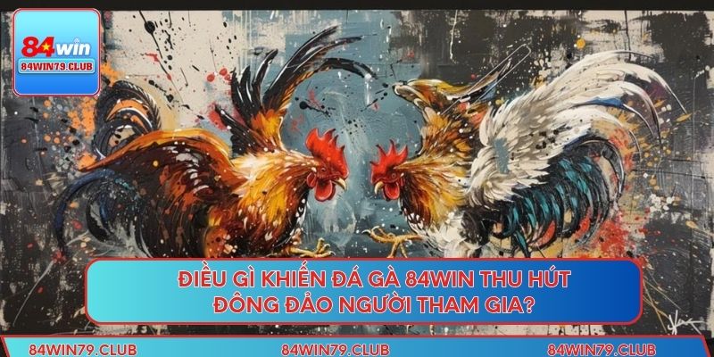 Điều gì khiến đá gà 84win thu hút đông đảo người tham gia?