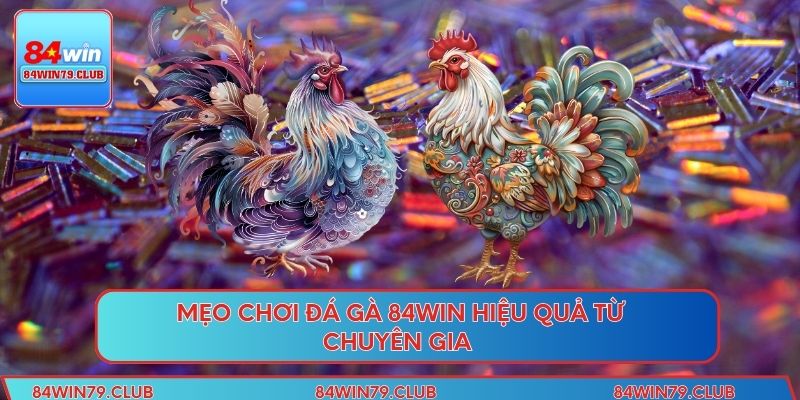 Mẹo chơi đá gà 84win hiệu quả từ chuyên gia 