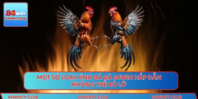 Một số loại hình đá gà 84WIN hấp dẫn không thể bỏ lỡ